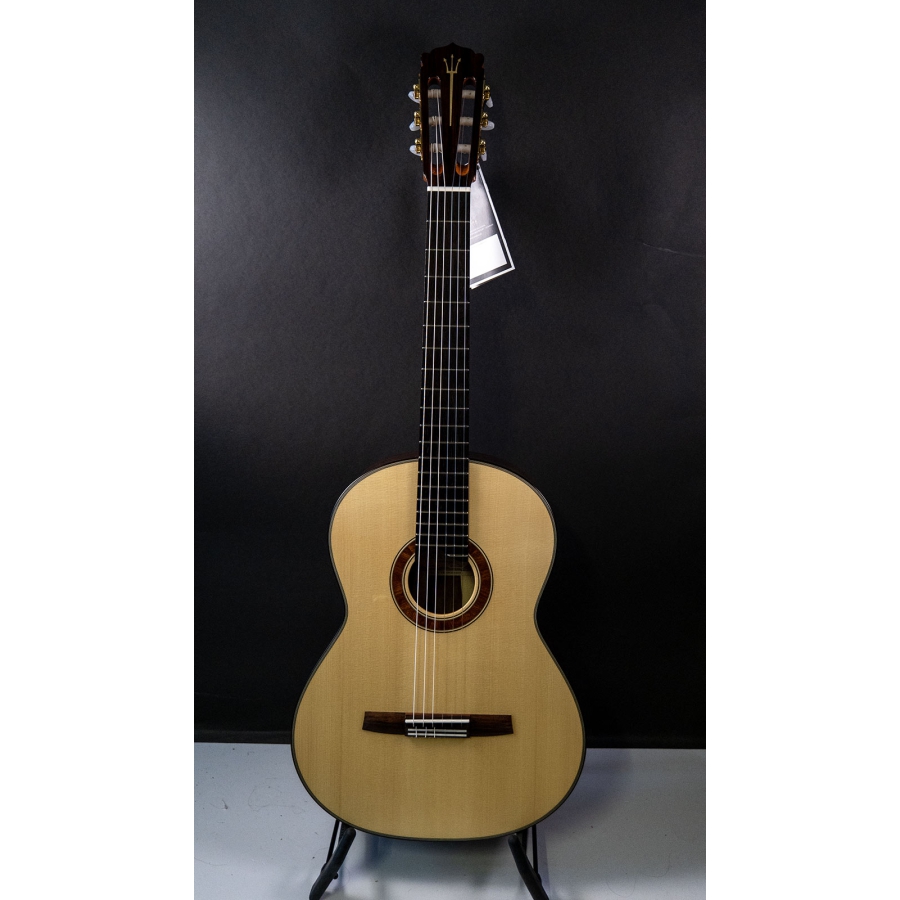Hanika Guitar Summit special model Hanika Guitar Summit special model