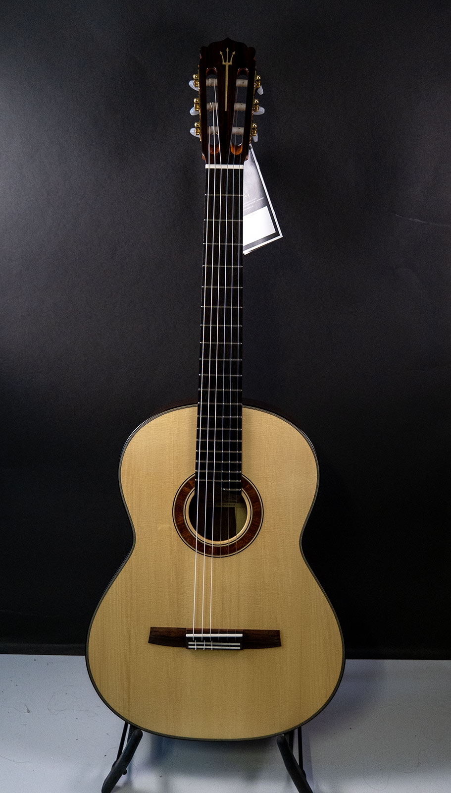 Hanika Guitar Summit special model Hanika Guitar Summit special model