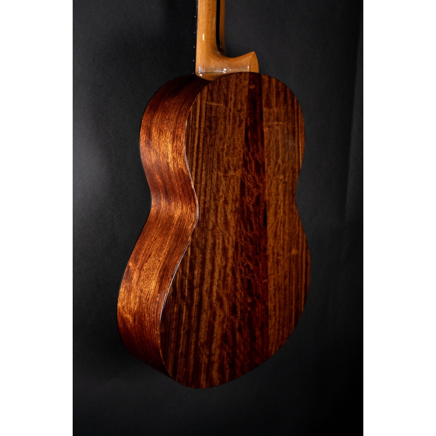 Hanika Guitar Summit special model Hanika Guitar Summit special model