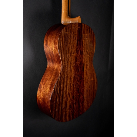 Hanika Guitar Summit special model