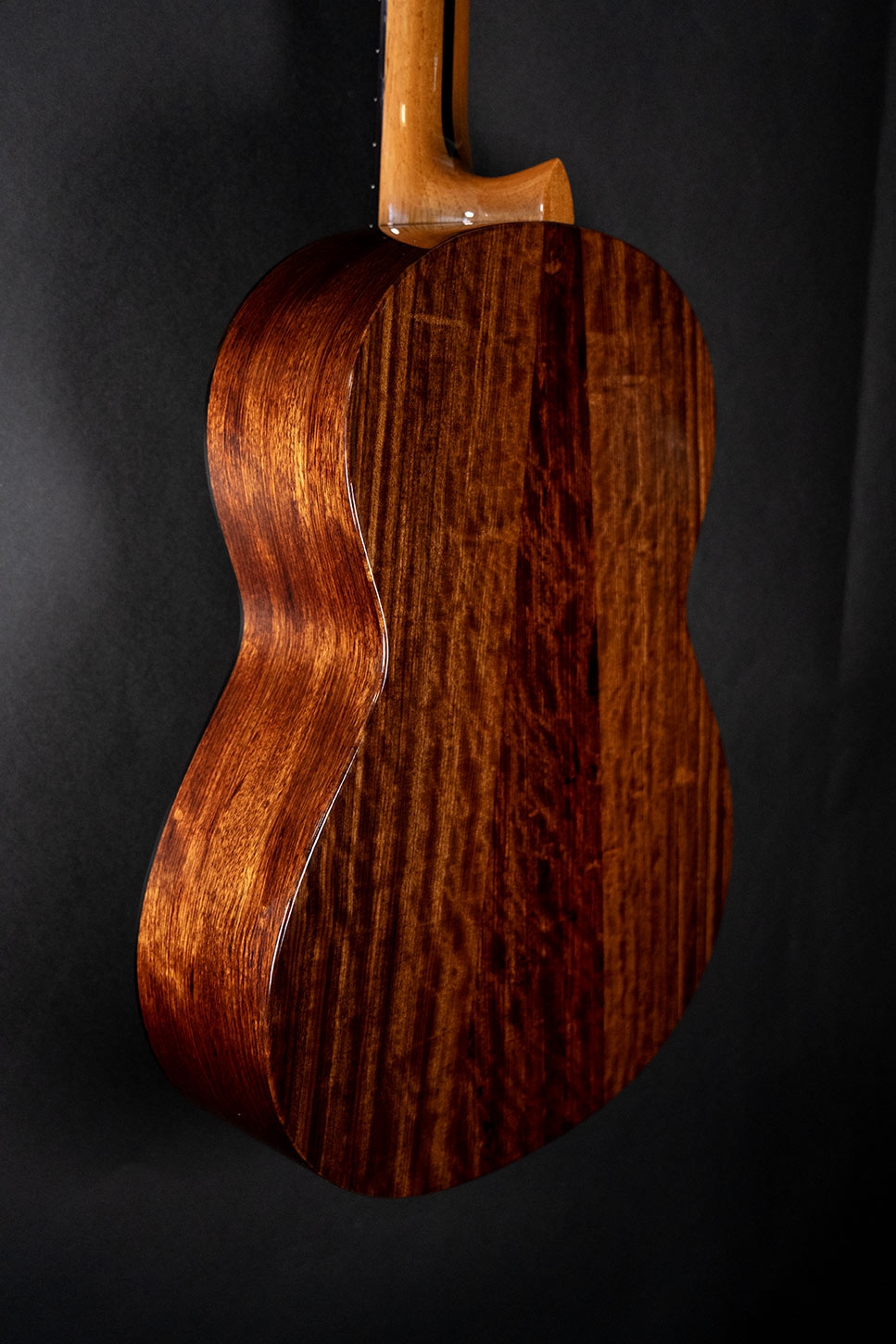 Hanika Guitar Summit special model Hanika Guitar Summit special model