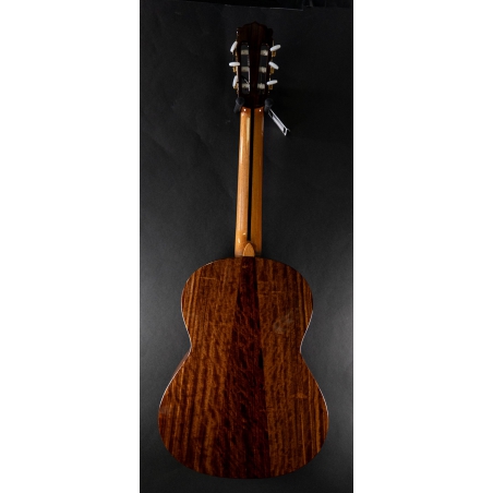 Hanika Guitar Summit special model