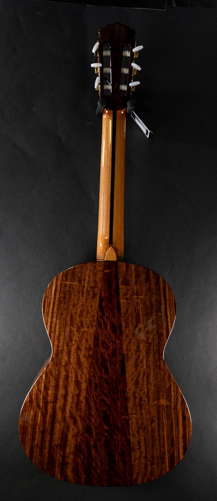 Hanika Guitar Summit special model Hanika Guitar Summit special model