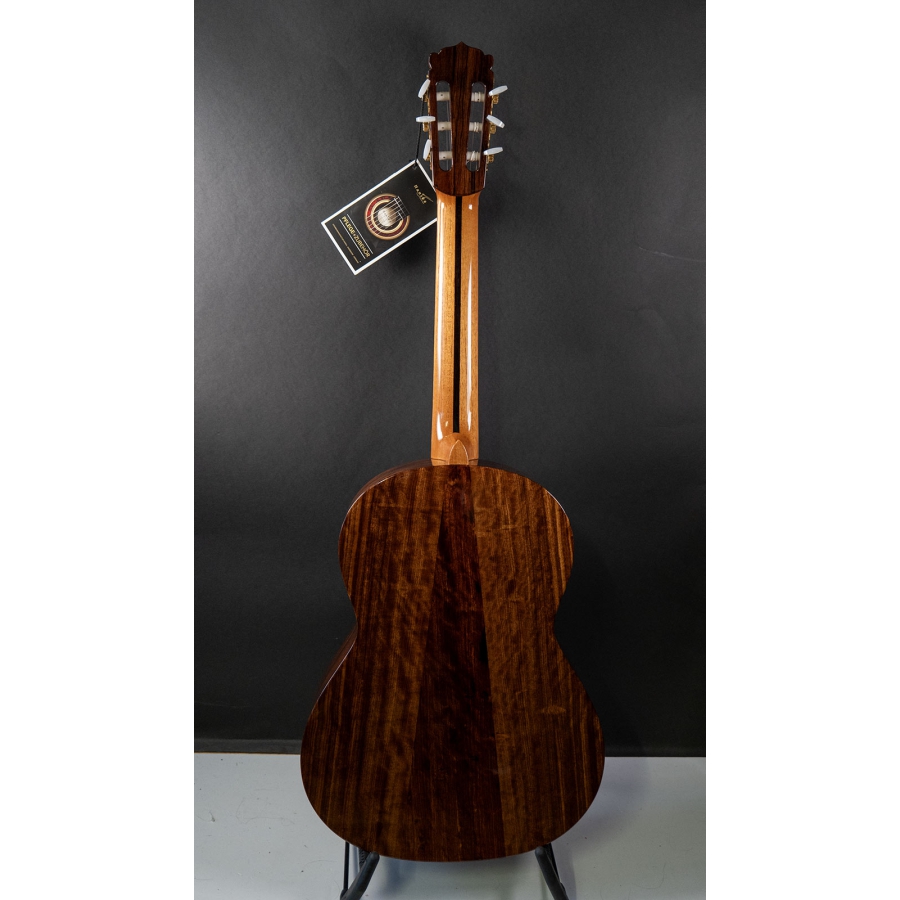 Hanika Guitar Summit special model Hanika Guitar Summit special model