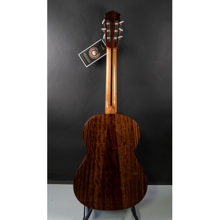 Hanika Guitar Summit special model