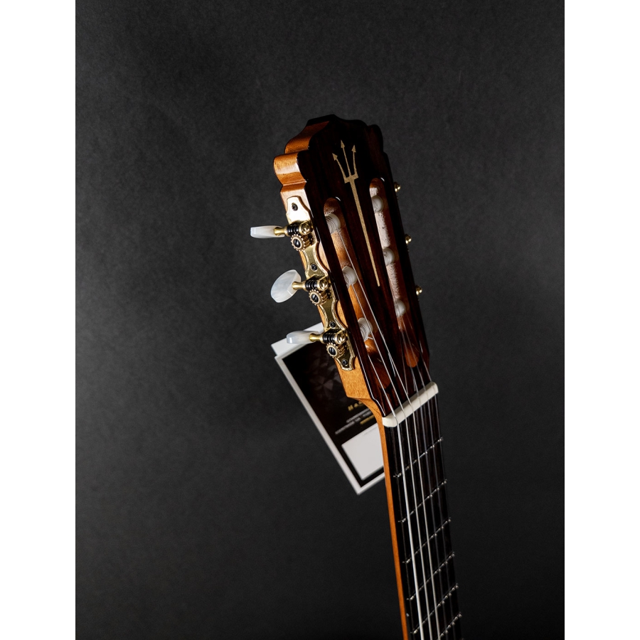 Hanika Guitar Summit special model Hanika Guitar Summit special model