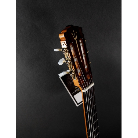 Hanika Guitar Summit special model