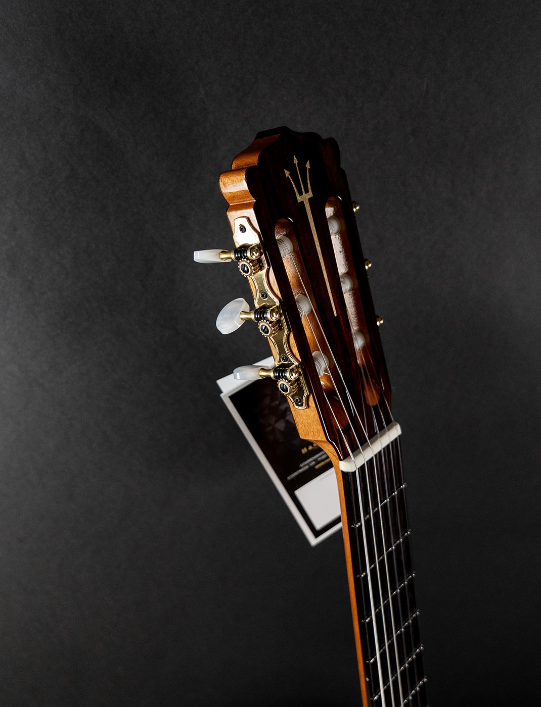 Hanika Guitar Summit special model Hanika Guitar Summit special model