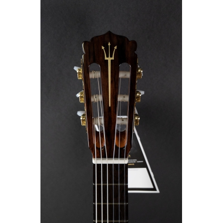 Hanika Guitar Summit special model