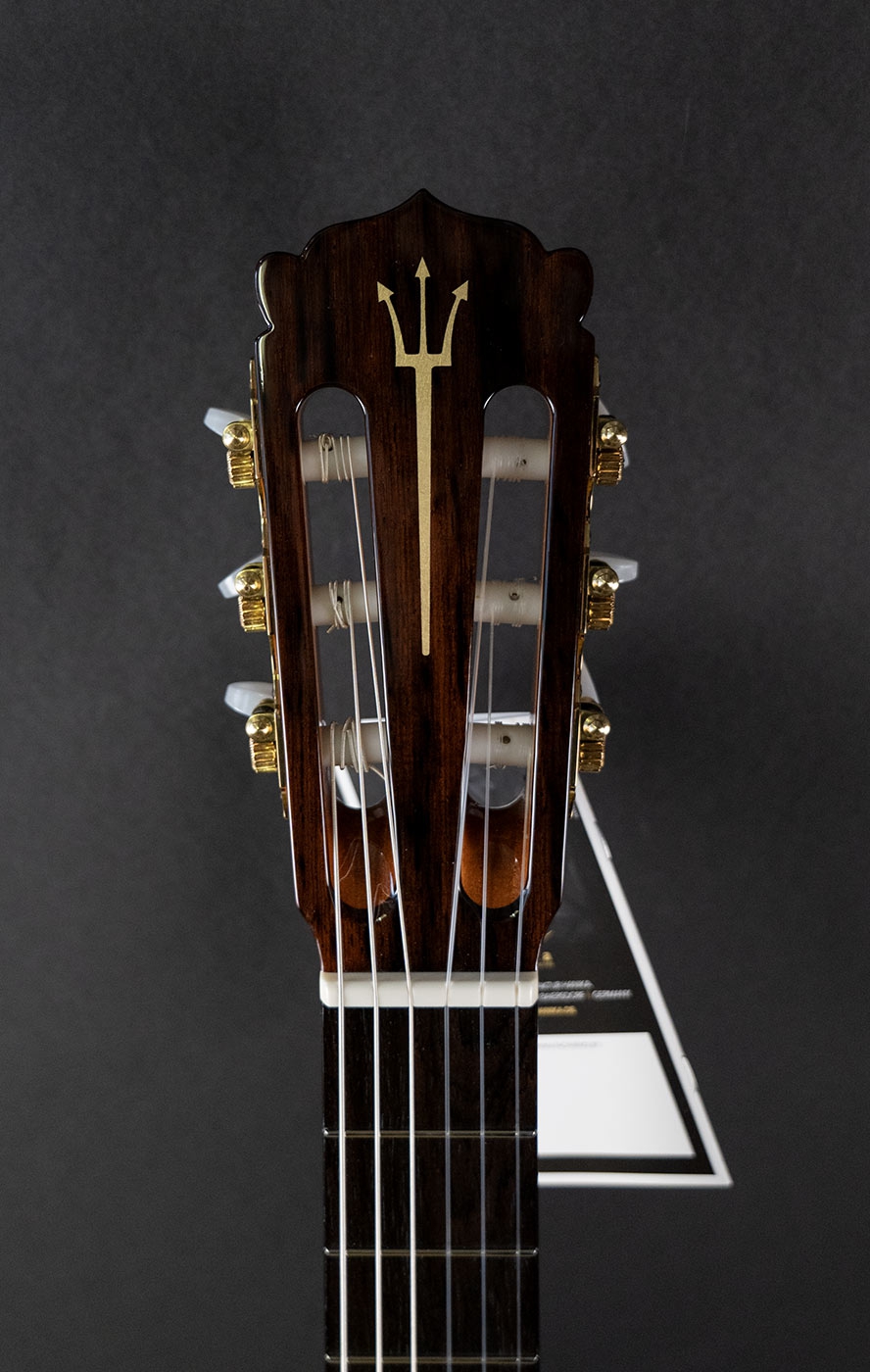 Hanika Guitar Summit special model Hanika Guitar Summit special model