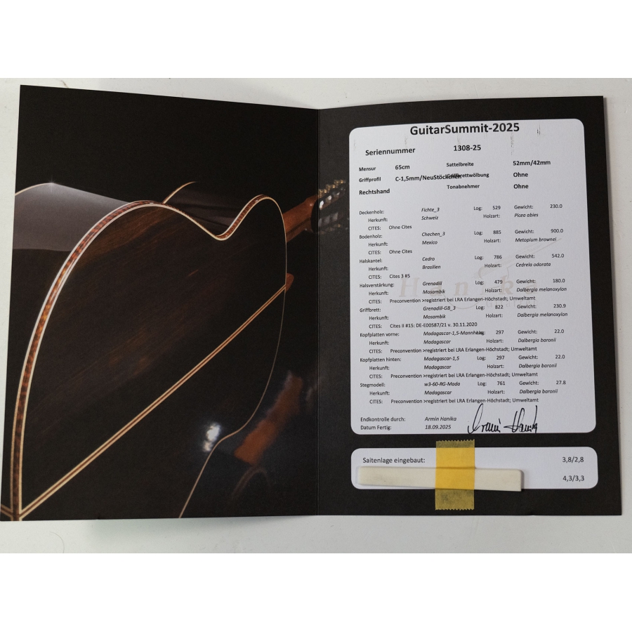 Hanika Guitar Summit special model Hanika Guitar Summit special model