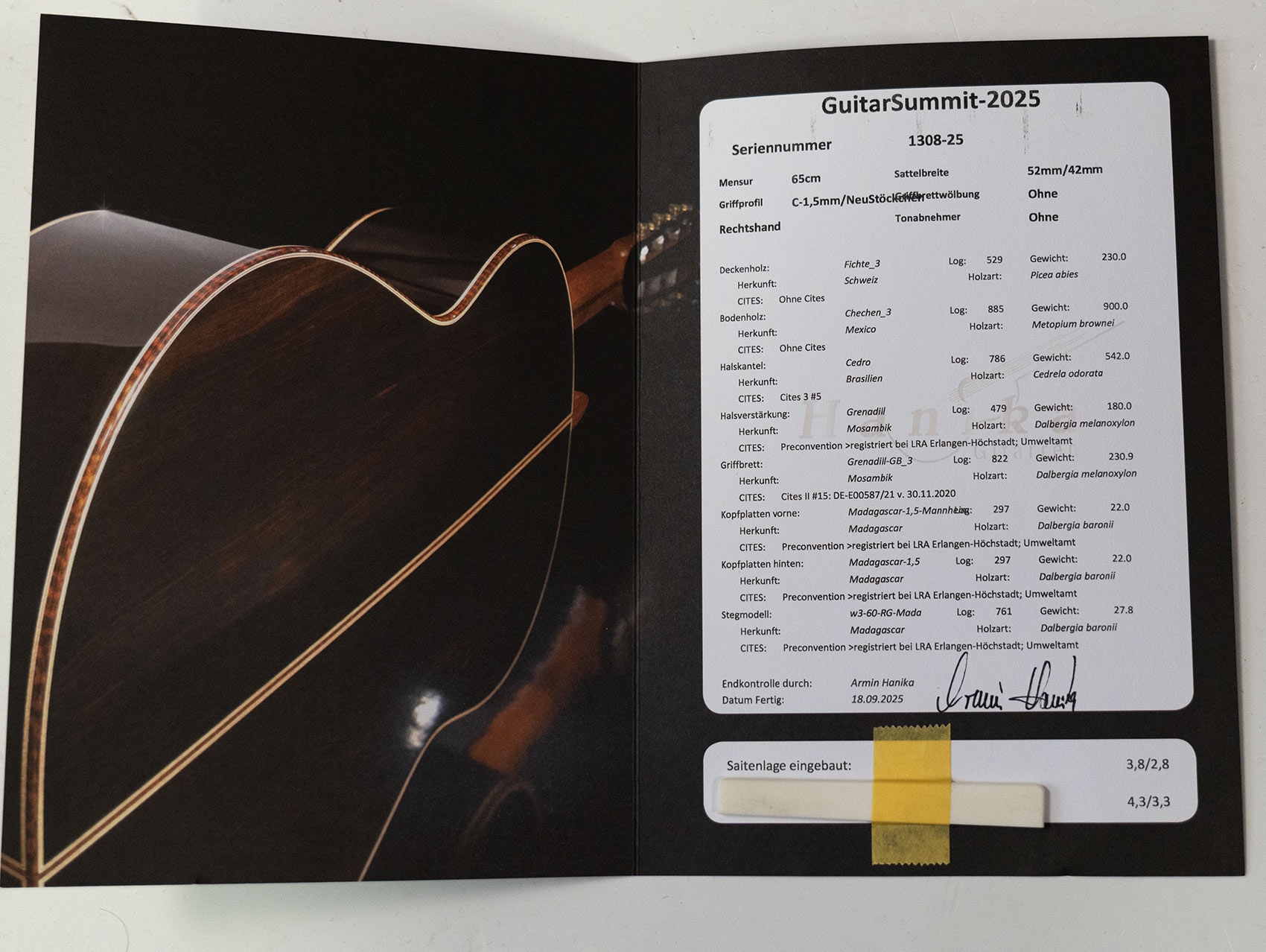 Hanika Guitar Summit special model Hanika Guitar Summit special model