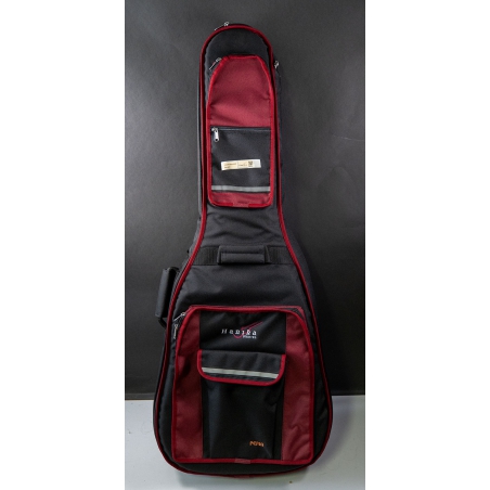 Hanika Guitar Summit special model