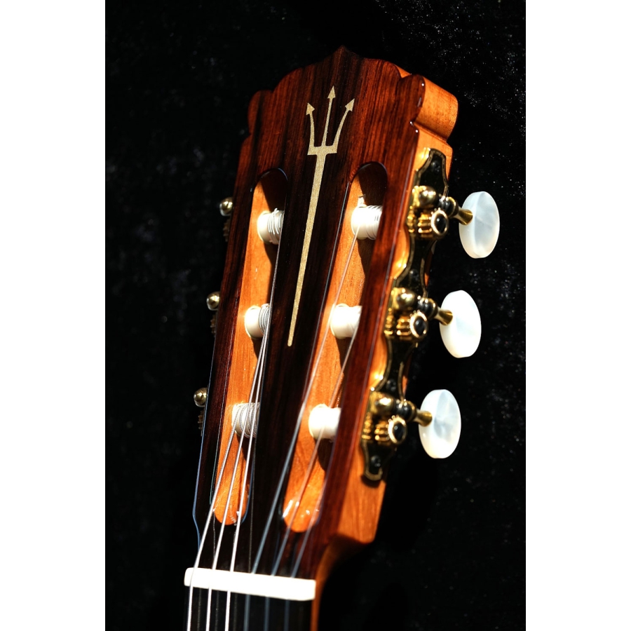 Hanika Guitar Summit special model Hanika Guitar Summit special model