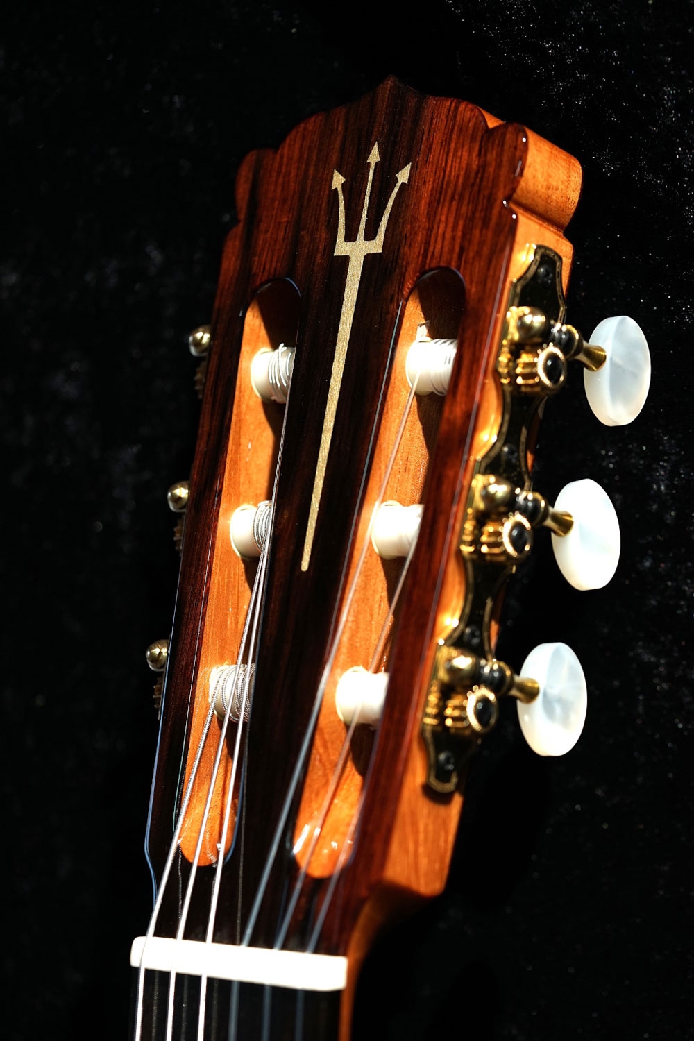 Hanika Guitar Summit special model Hanika Guitar Summit special model