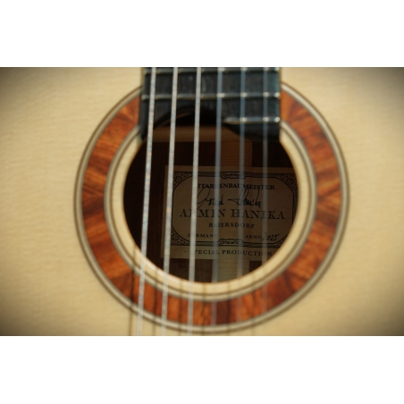 Hanika Guitar Summit special model