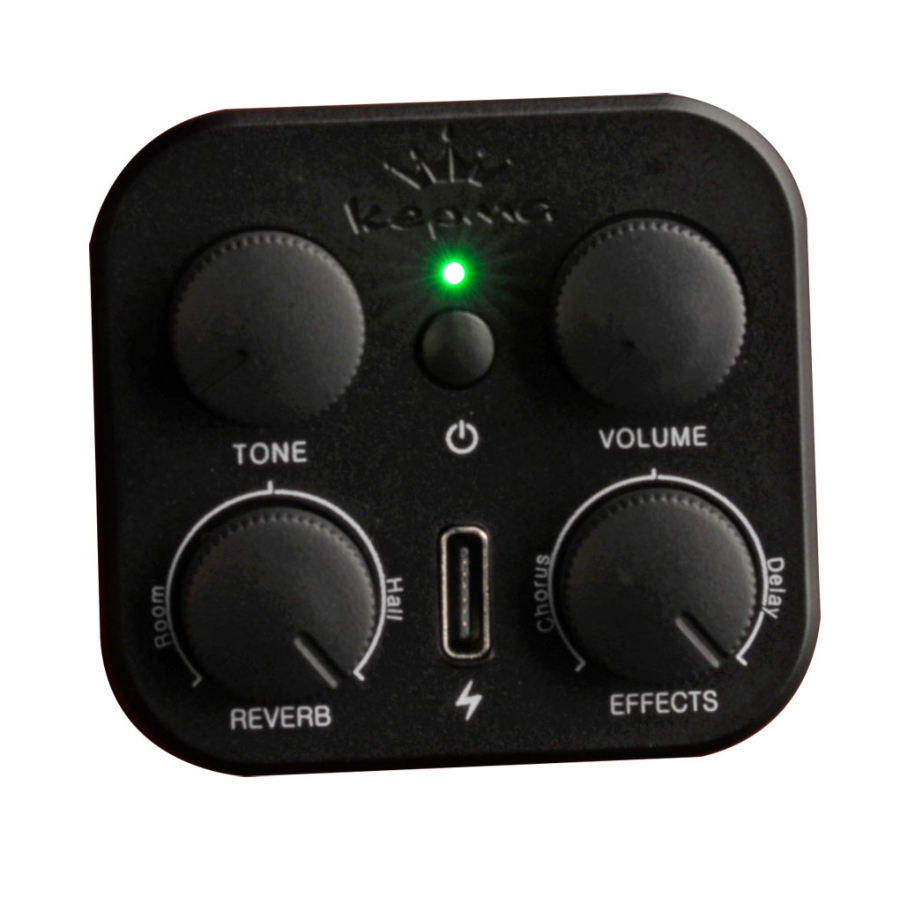 KEPMA Plytone EDCE plus K10 Grand Auditorium Walnut