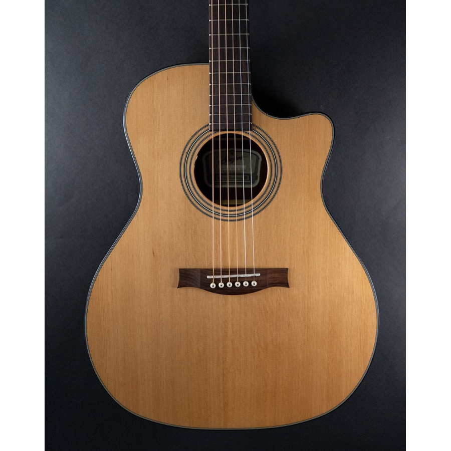 Stanford Radiotone studio 49G ECW