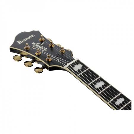 Ibanez PM3C BKL Pat Metheny