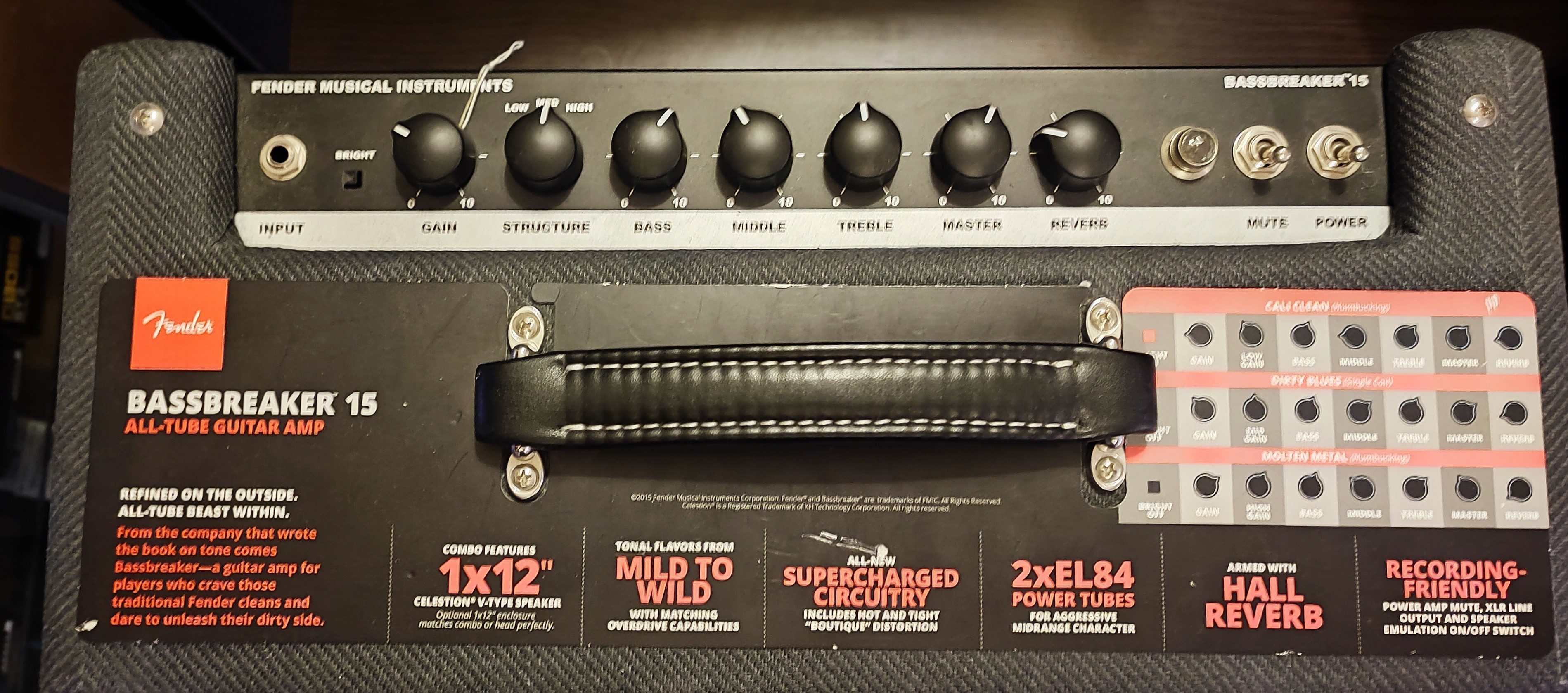 Fender Bassbreaker head 15