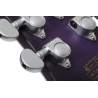 Schecter C-1 Platinum Satin Purple Burst