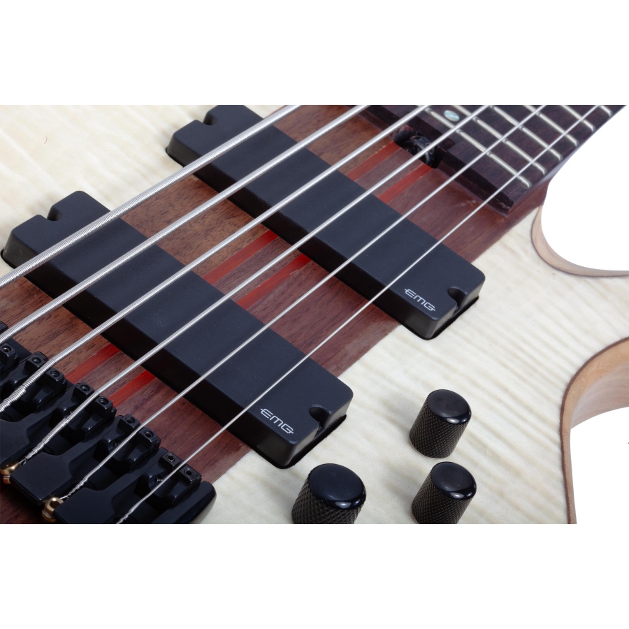 Schecter Charles Berthoud CB-6 Natural Satin