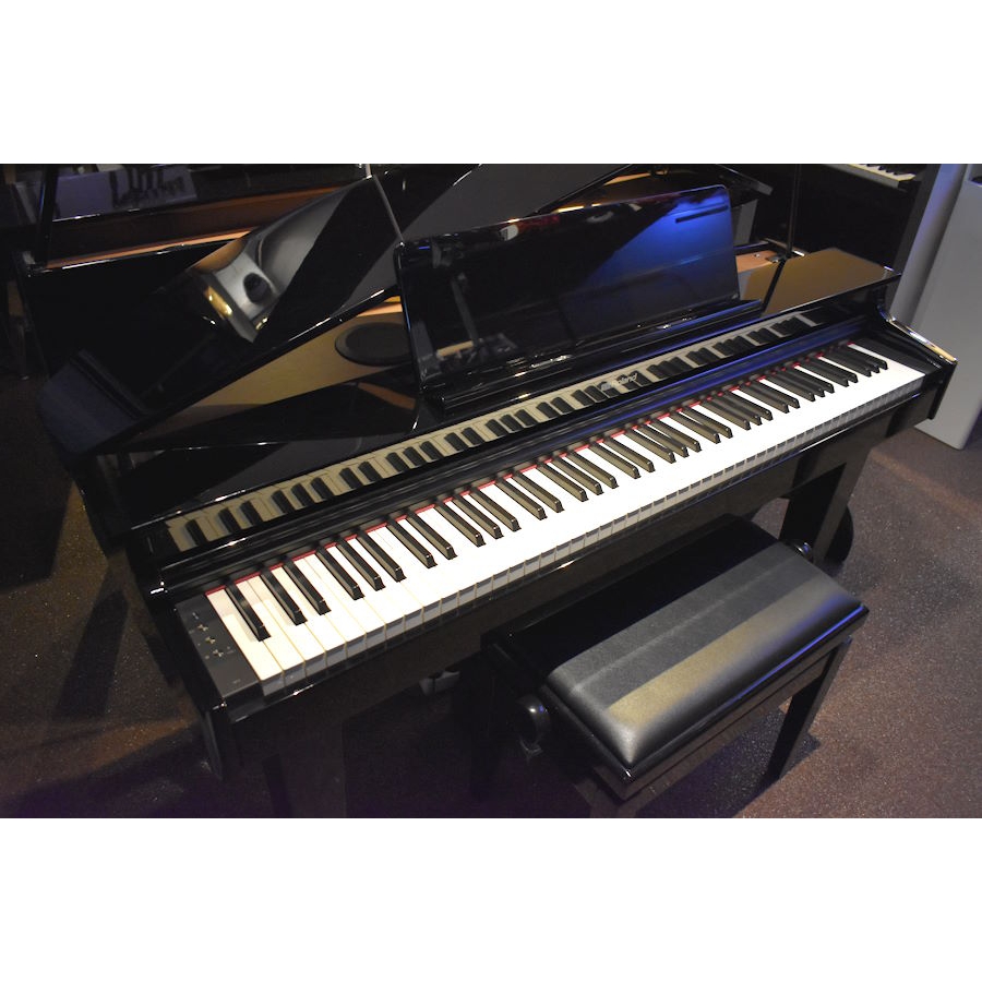 Roland GP-3  Digitale...