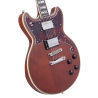 DAngelico Deluxe Brighton Matte Walnut