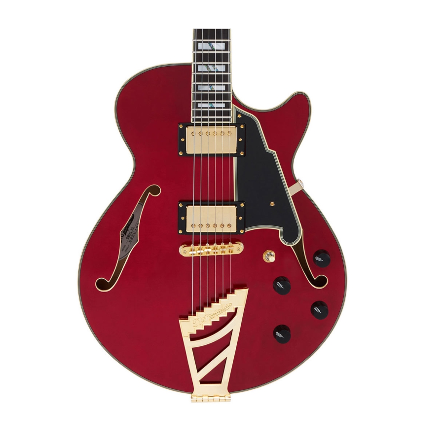 DAngelico Excel SS Stairstep Tailpiece Trans Cherry