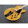 Ibanez GB10EM-AA George Benson Signature