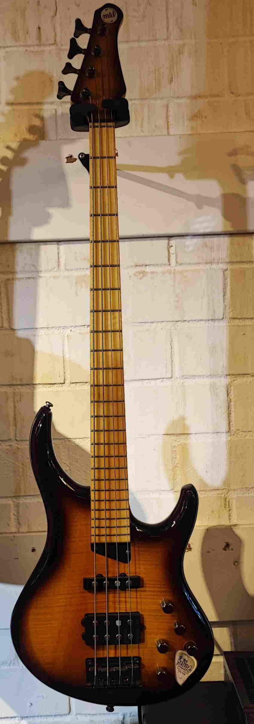 Michael Tobias MTD Kingston Saratoga 4