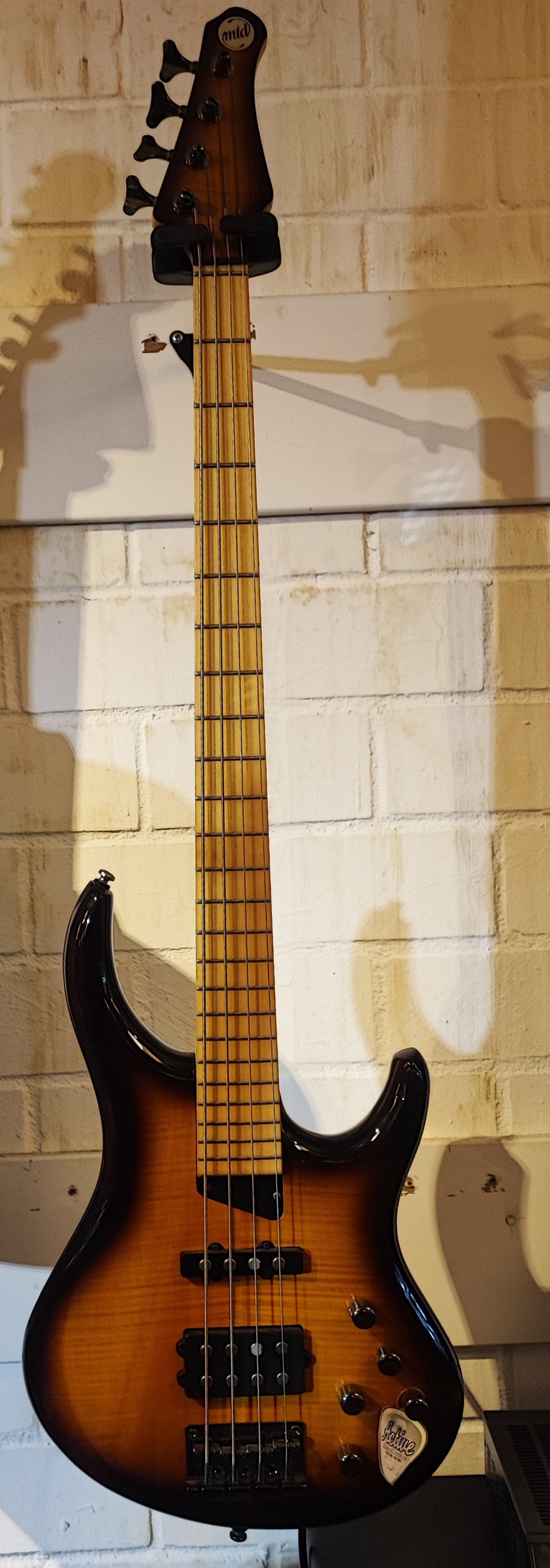 Michael Tobias MTD Kingston Saratoga 4