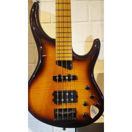 Michael Tobias MTD Kingston Saratoga 4