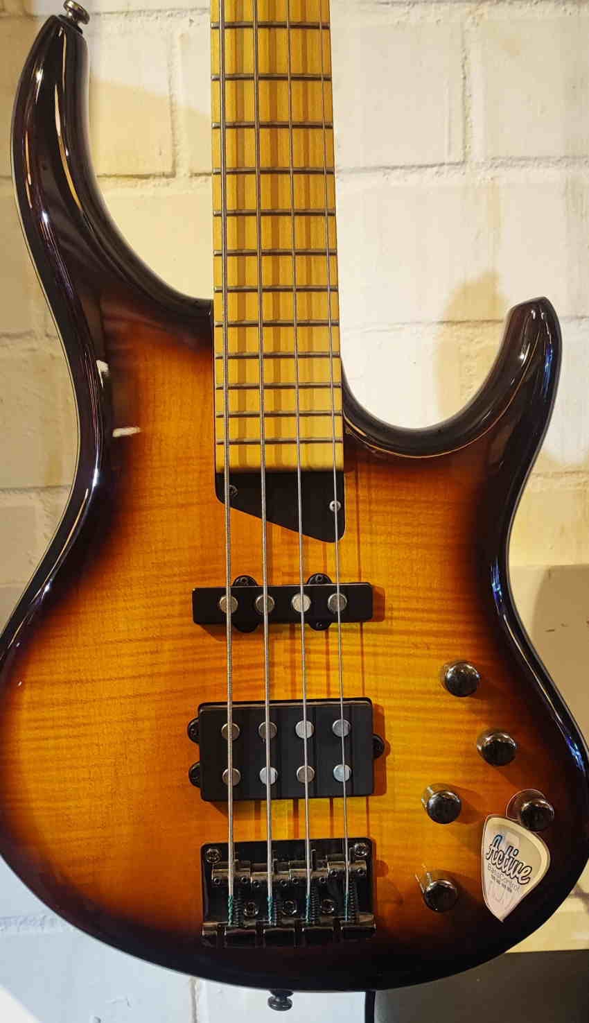 Michael Tobias MTD Kingston Saratoga 4