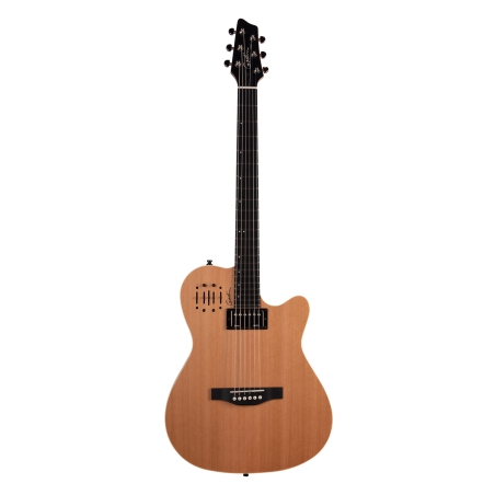 Godin A6 Ultra Natural SG with Bag