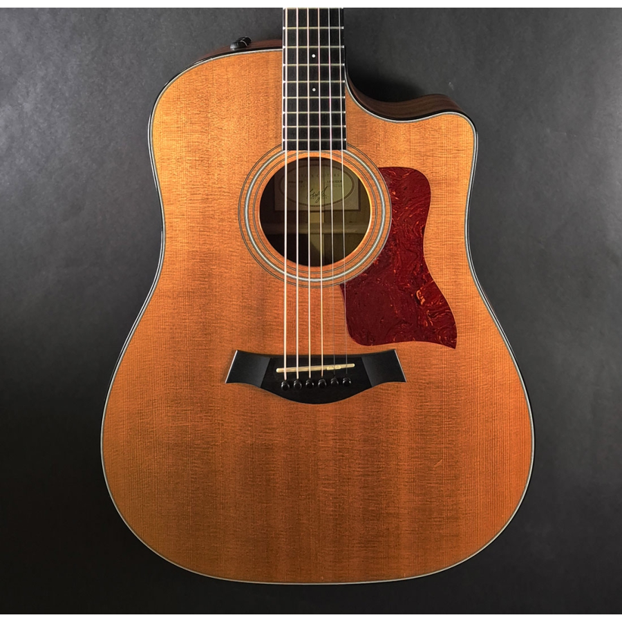 Taylor 310CE LTD 2012
