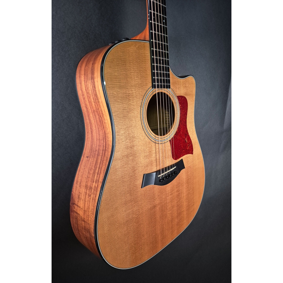Taylor 310CE LTD 2012