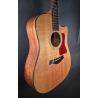 Taylor 310CE LTD 2012
