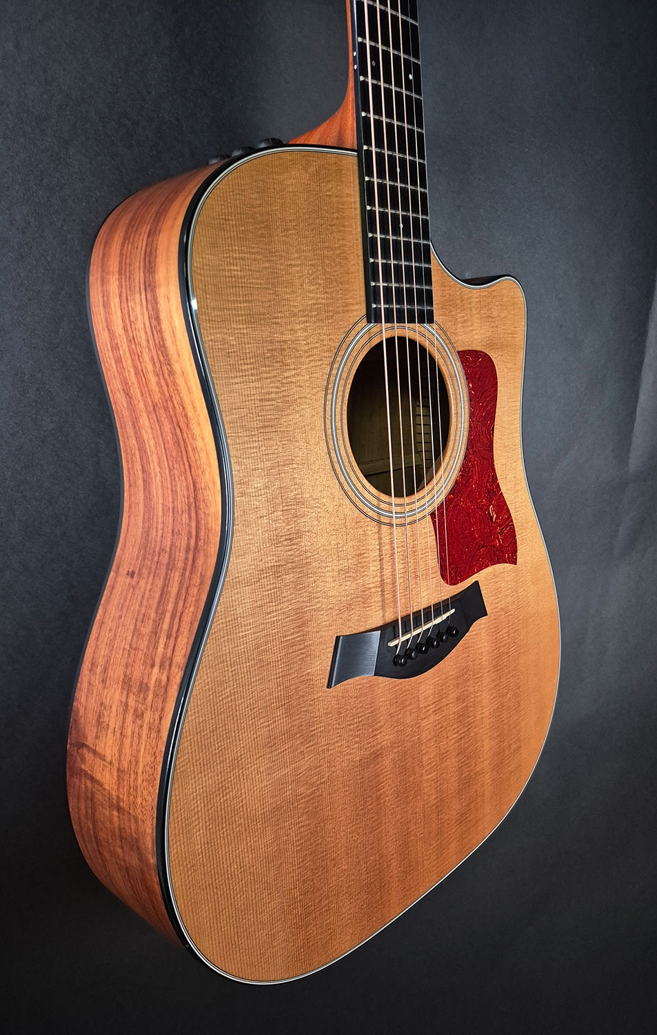 Taylor 310CE LTD 2012