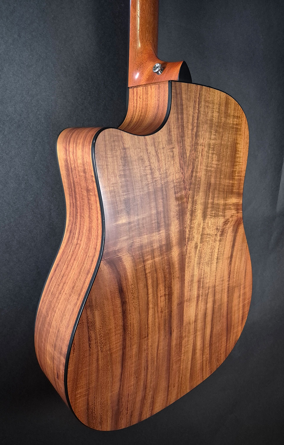 Taylor 310CE LTD 2012