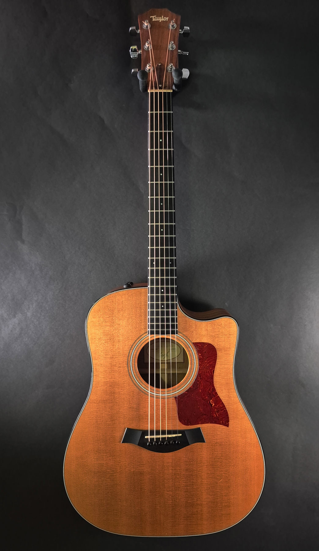 Taylor 310CE LTD 2012