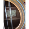 Taylor 310CE LTD 2012