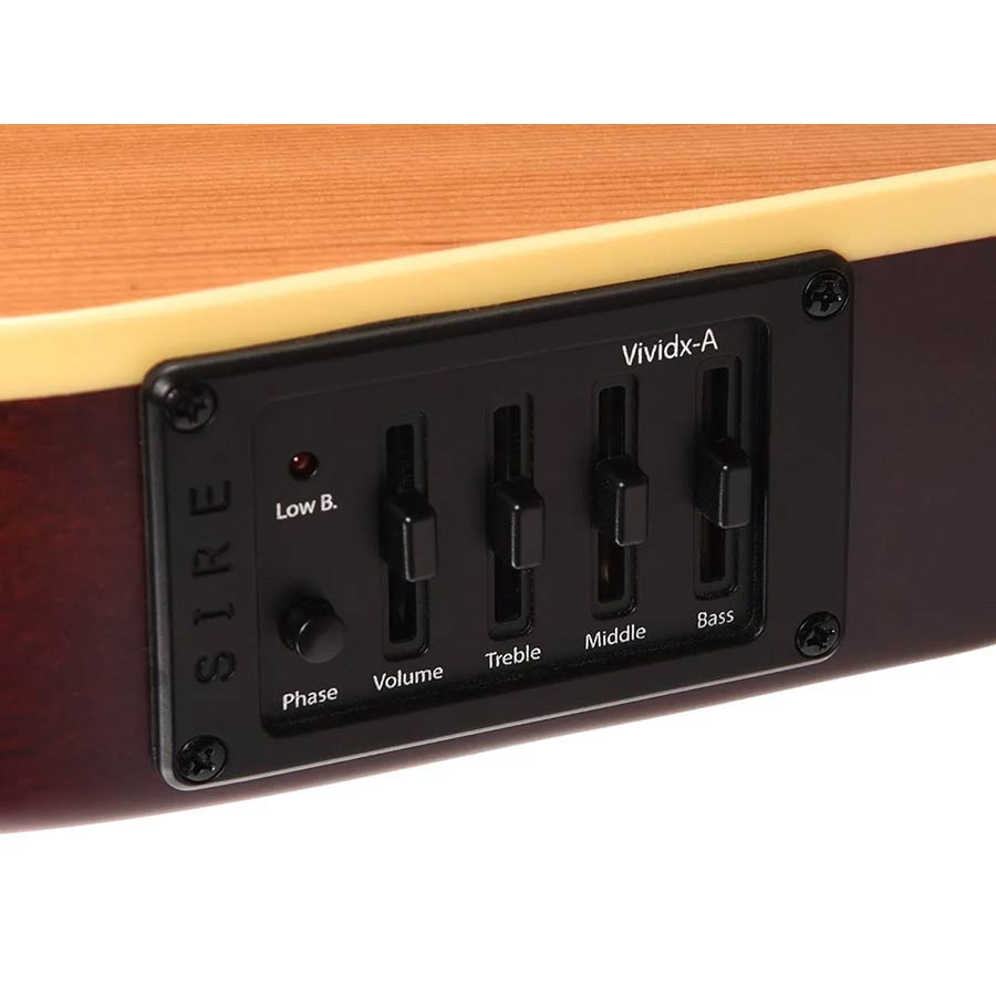 Sire Larry Carlton G5A NTS natural