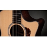 Taylor 414ce Next Generation natural