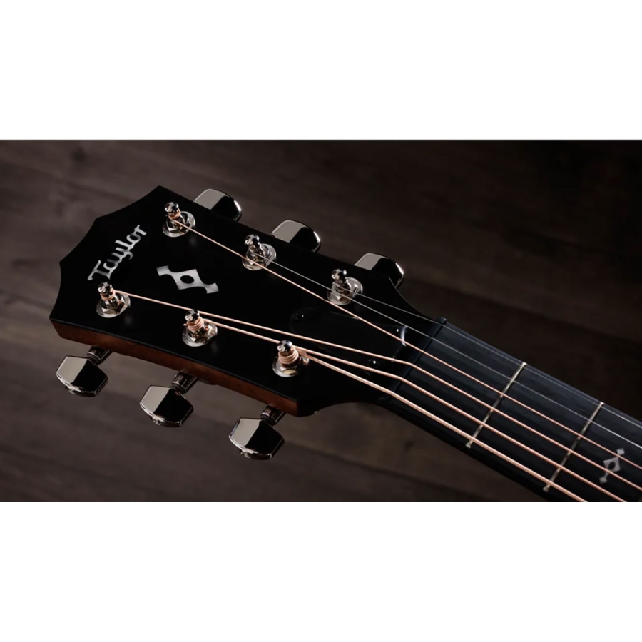 Taylor 414ce Next Generation natural
