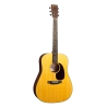 Martin D-10E Retro Road Series Refresh