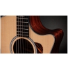 Taylor 314ce Next Generation