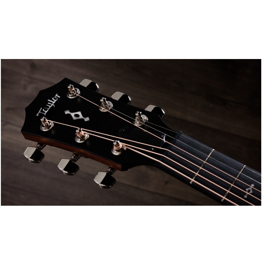 Taylor 314ce Next Generation