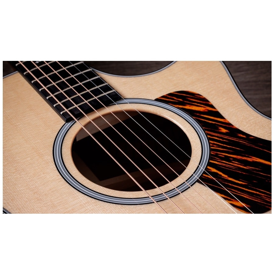 Taylor 314ce Next Generation