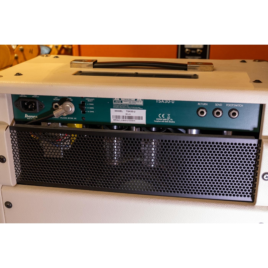 Ibanez TSA-30 Combo Tube